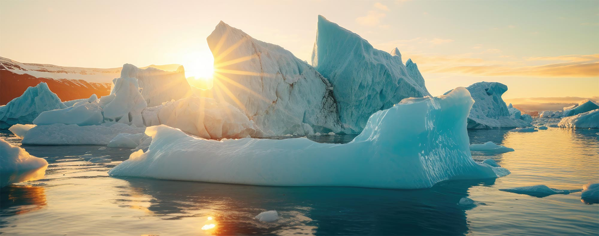 Navigating Decarbonisation